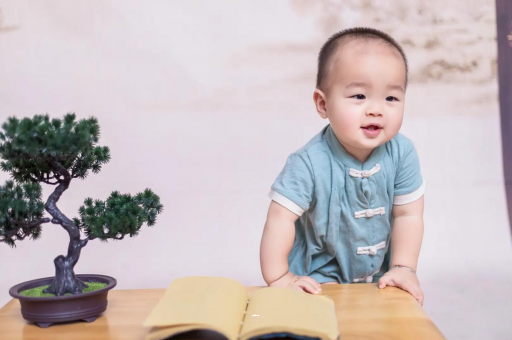锡林郭勒可爱的企鹅宝宝